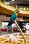 Macaw Bird Life