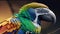 Macaw parrot close-up. Colorful exotic bird