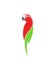 Macaw parrot. Logo