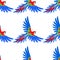 Macaw parrot seamless pattern