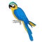 Macaw a parrot yellowish blue araruna. Vector illustration