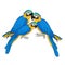 Macaw a parrot yellowish blue araruna. Vector illustration