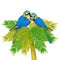 Macaw a parrot yellowish blue araruna. Vector illustration