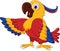 Macaw wing bird cartoon posing