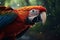 Macaws brilliance a vibrant portrait against the lush forest backdrop