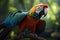 Macaws brilliance a vibrant portrait against the lush forest backdrop