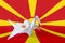 Macedonia flag depicted on paper origami crane wing. Handmade arts concept