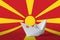 Macedonia flag depicted on paper origami ship closeup. Handmade arts concept
