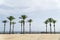 Machico city boardwalk with beautiful palm trees, nobody, peaceful Atlantic ocean water in background, Madeira island, Portugal