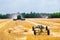 The machine for harvesting grain crops - combine harvester in action on rye field at sunny summer day. Agricultural machinery