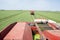 Machine harvesting pea beans harvested in the field