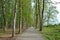 The machine path in the forest . country side space empty car road path way . empty lonely asphalt car road between trees in