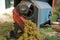 Machine that separates the berries from the stems.