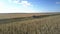 Machine with trailer drives along field to load ripe corn