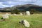 Machrie Moor, Standing Stones