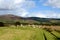 Machrie Moor, Standing Stones