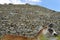 Machu Picchu Llama - Peru