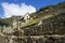 Machu Picchu Llama - Peru