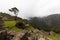 Machu Picchu , Peru