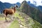 Machu Picchu, Peru.