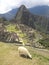 Machu Picchu Peru ancient incan ruins mountains and scenery