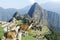Machu Picchu ruins lama herd
