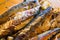 Mackerel baked in the oven, home dish, close-up
