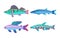 Mackerel Blue Fish Fauna Set Vector Illustration