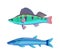 Mackerel Blue Fish Marine Set Vector Illustration