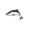 Mackerel common scombrid fish fishing sport mascot