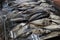 Mackerel fish in fresh market