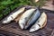 Mackerel fish on grill and hot coals, DOF. Scomber blue mackerel roast, Japanese mackerel roasted, Pacific mackerel, slimy mackere