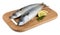 Mackerel fish on wooden plate isolated