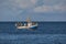 Mackerel Fishing Boat