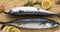 Mackerel Popular seafood. Fresh white sea Mackerel fish cod fillets on a background with lemon ,salt, ingredients for cooking lunc