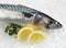 Mackerel, scomber scombrus, Fresh Fish with Lemon and Parsley on Ice