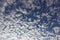 Mackerel sky - Cirrocumulus clouds
