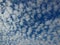 Mackerel Sky or Cotton Candy Clouds