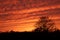 Mackerel sky at sunset; vibrantly colored undulating clouds