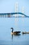 Mackinac suspension bridge