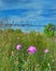 Mackinaw Suspension bridge from beach