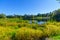 MacLaren pond, in Fundy National Park