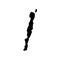 macquarie island glyph icon vector illustration