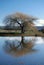 Macquarie River tranquility