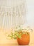 Macrame and plant decorating leaf