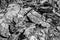 Macro abstract of layers of shale mud in the landscapes in Alberta`s Dinosaur Provincial Park in the summer