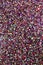 Macro abstract texture background of sparkling multicolor confetti glitter