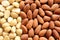 Macro Almonds and Macadamia Nuts 2