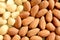 Macro Almonds and Macadamia Nuts 6