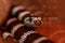 Macro beautiful california kingsnake snake